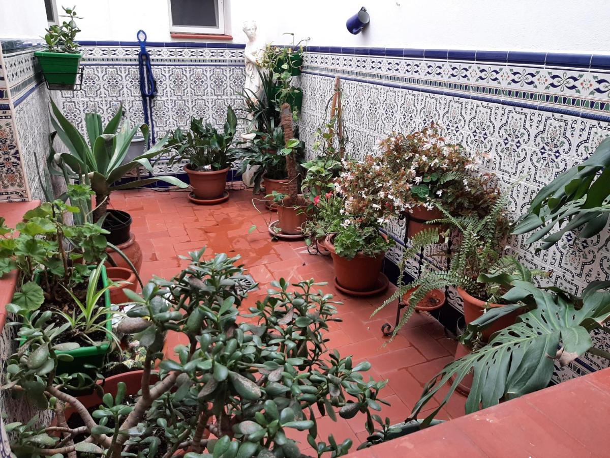 Sotel Valle Guadiaro 普韦布洛·纽沃·德·加德 外观 照片